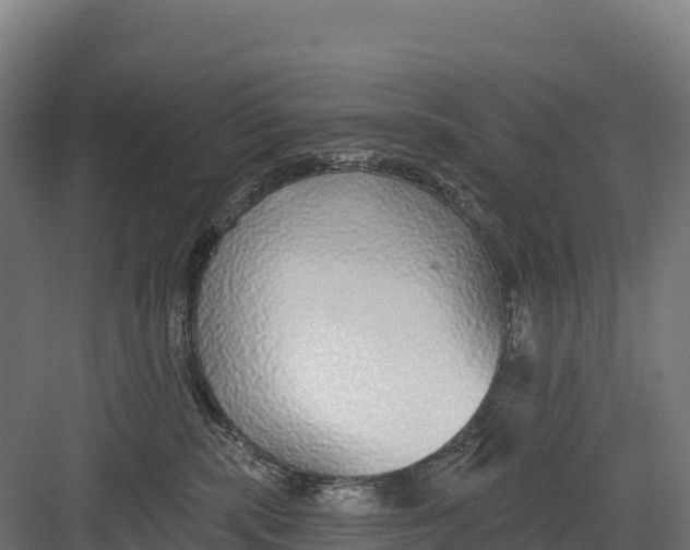 X0000082160283200702092225