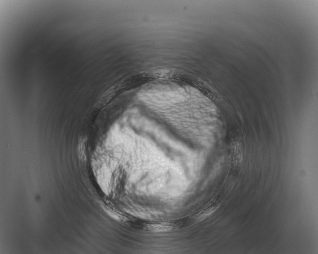 X0000082160286200702092225