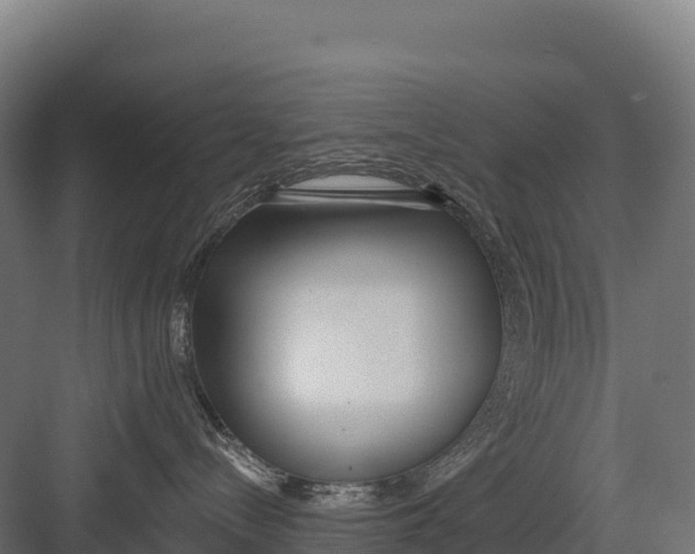 X0000082160288200702092226