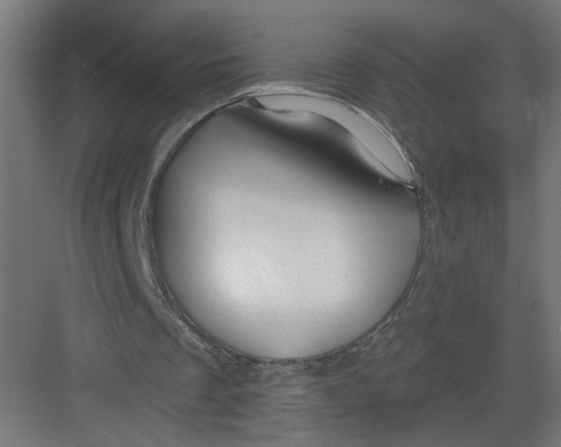 X0000082160289200702092225