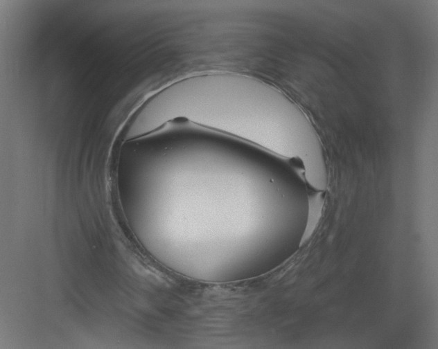 X0000082160290200702092225