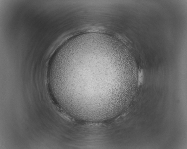 X0000082160291200702092225