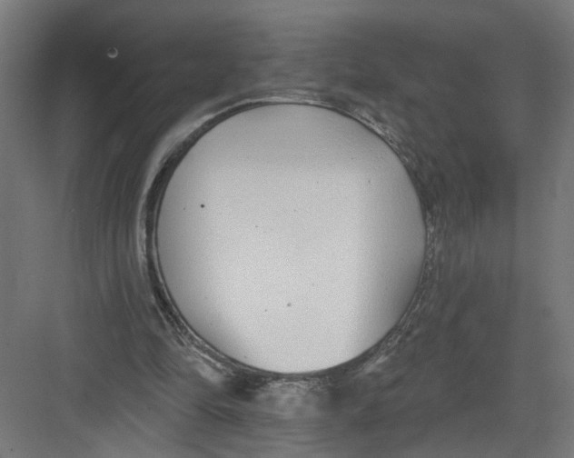 X0000082160294200702092225