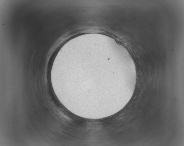 X0000082160296200702092225