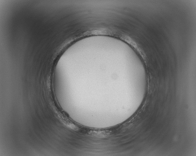 X0000082160297200702092225