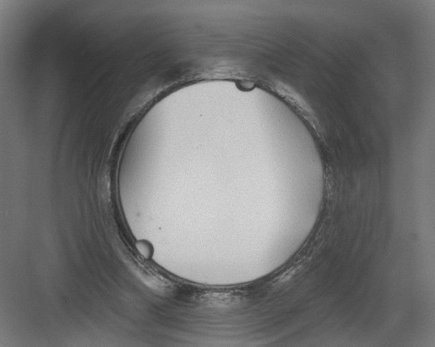 X0000082160298200702092225