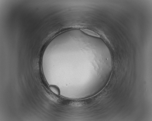 X0000082160299200702092225