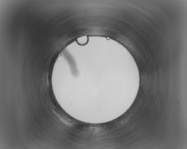 X0000082160302200702092224