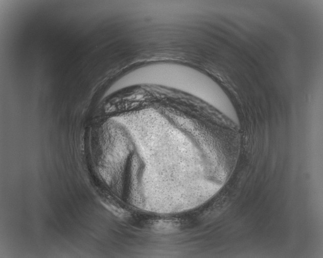 X0000082160303200702092224