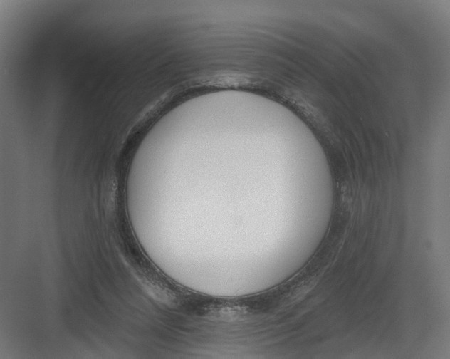 X0000082160304200702092224