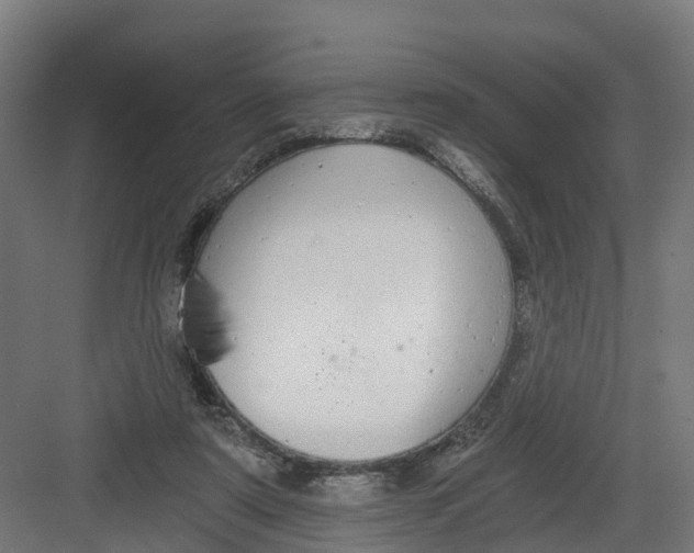 X0000082160307200702092224