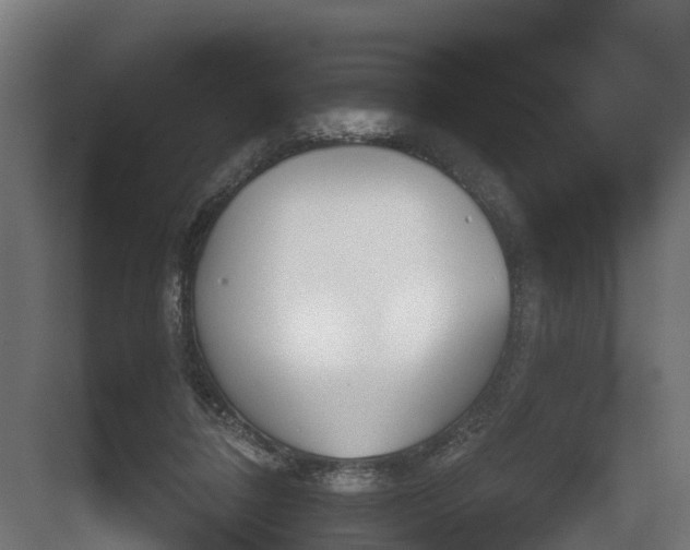 X0000082160308200702092224