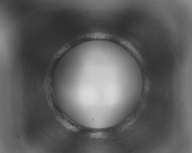 X0000082160309200702092224