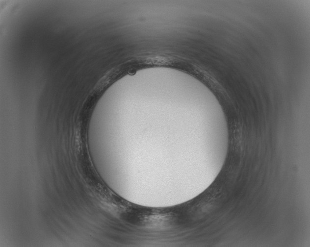 X0000082160312200702092224