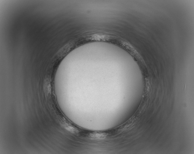 X0000082160313200702092224