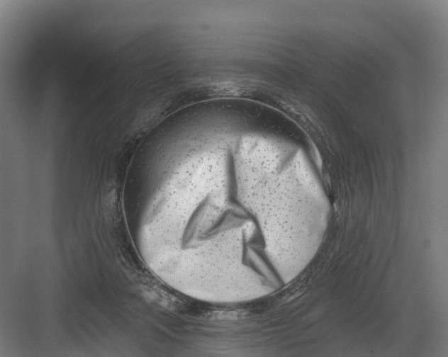 X0000082160314200702092224