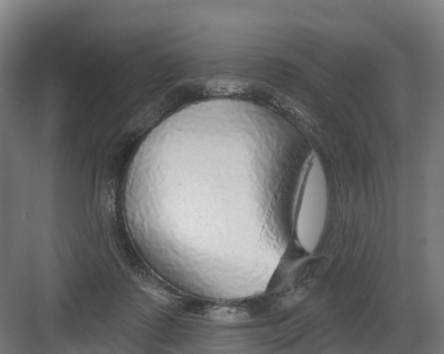 X0000082160315200702092224