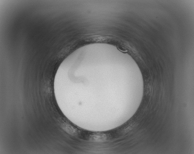 X0000082160317200702092224