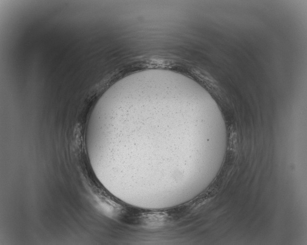 X0000082160318200702092224