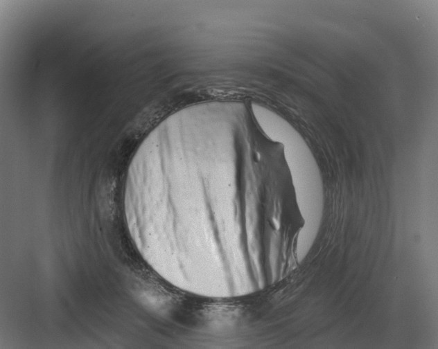 X0000082160319200702092224