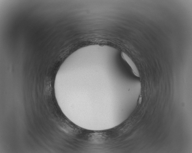 X0000082160320200702092224