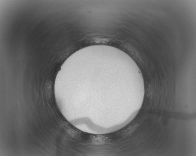 X0000082160321200702092224