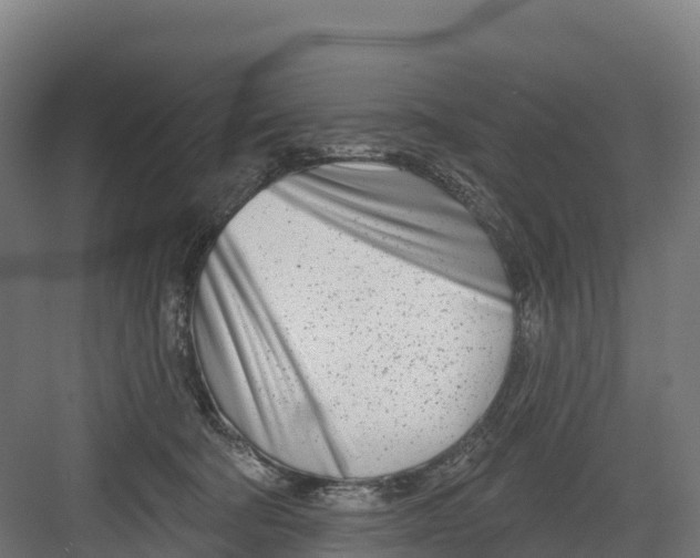 X0000082160322200702092224