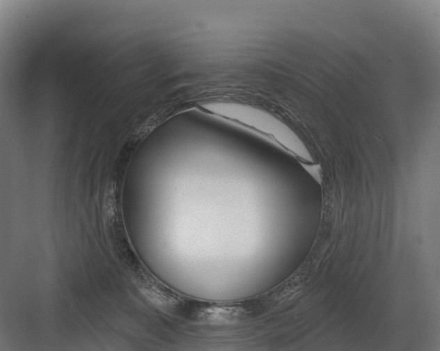 X0000082160323200702092224