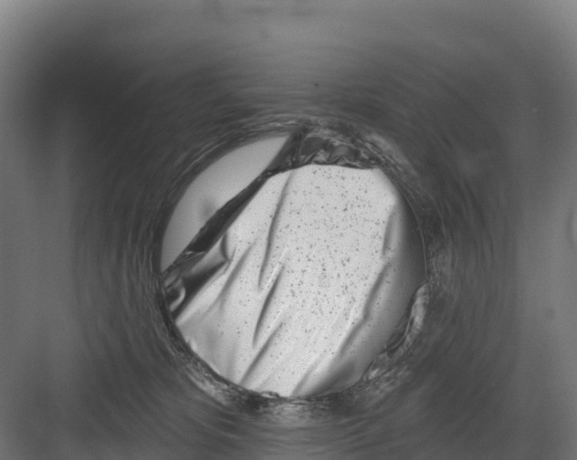 X0000082160325200702092224