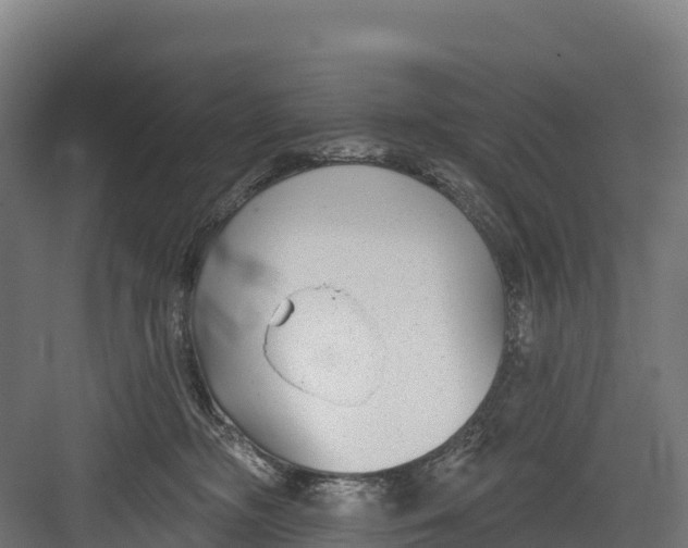 X0000082160326200702092224