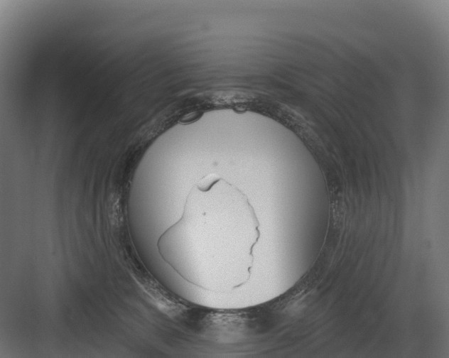 X0000082160327200702092224