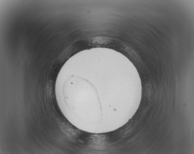 X0000082160328200702092224