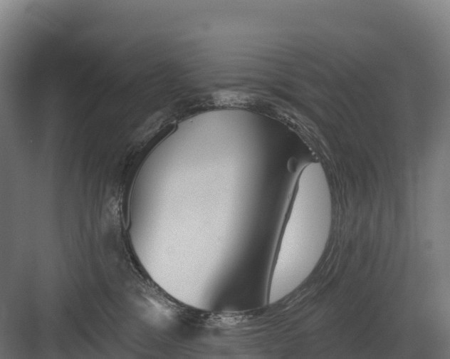 X0000082160329200702092224