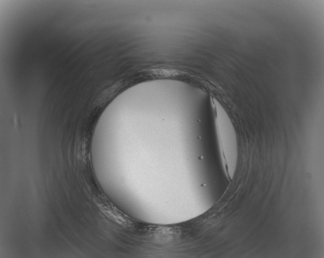 X0000082160330200702092224