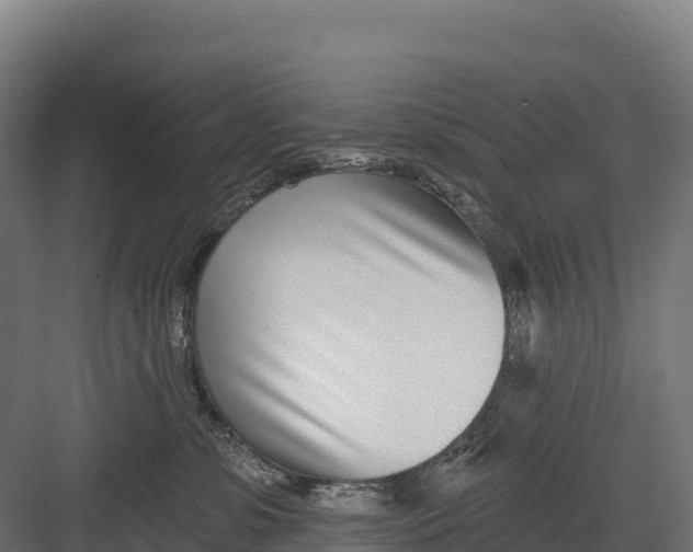 X0000082160331200702092224