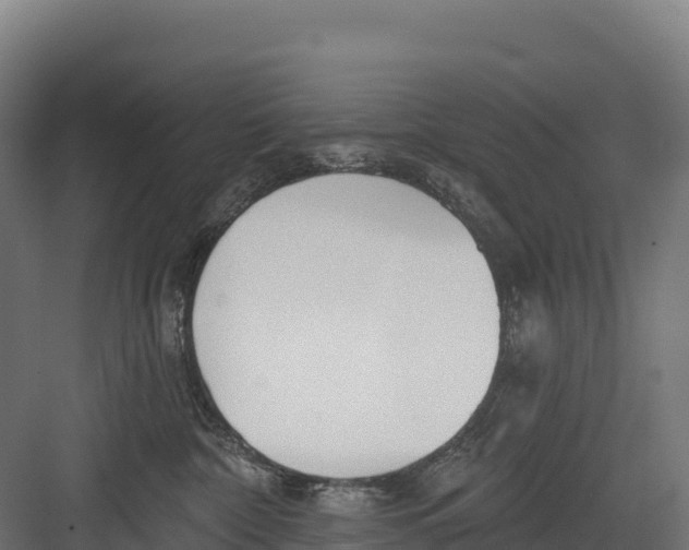 X0000082160332200702092224