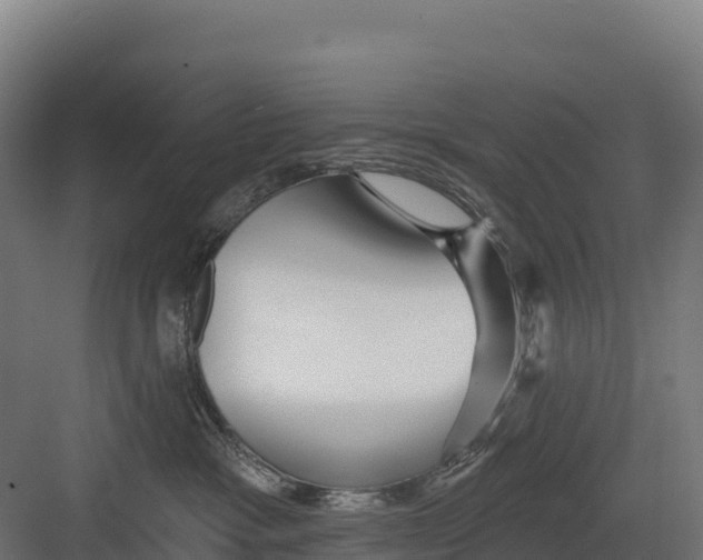 X0000082160333200702092224