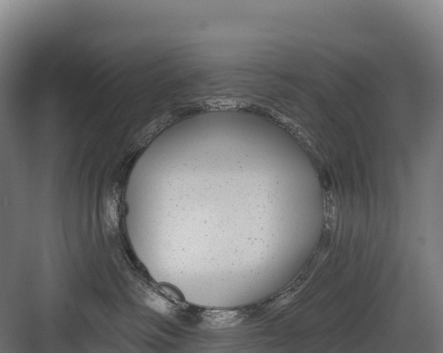 X0000082160334200702092224