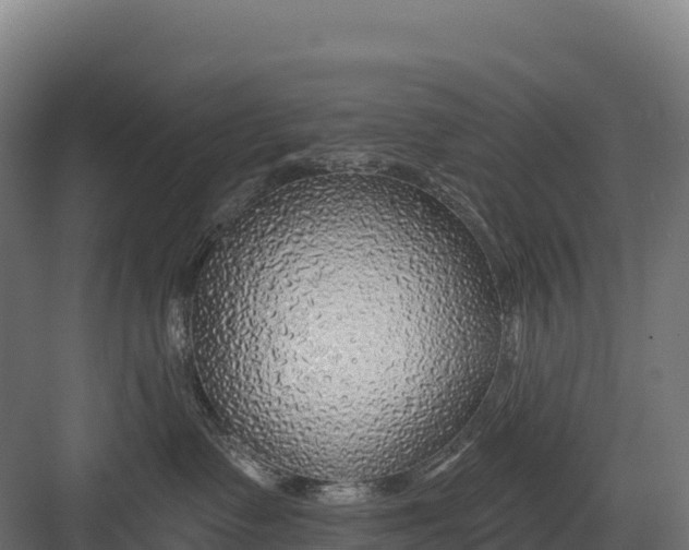 X0000082160335200702092224