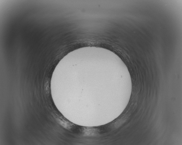 X0000082160336200702092224