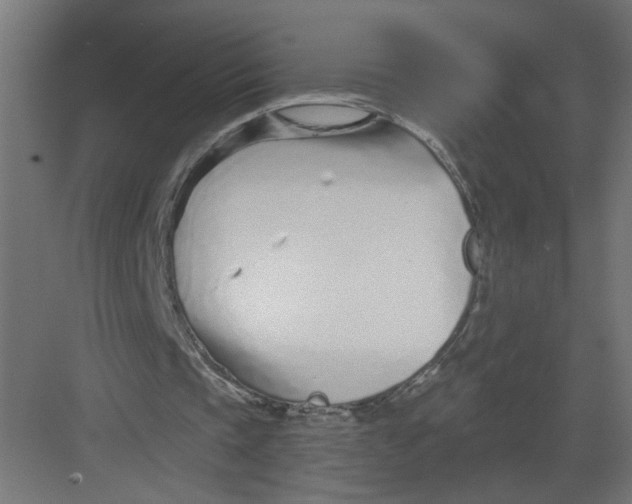 X0000082160337200702092223