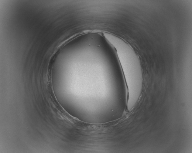 X0000082160338200702092223