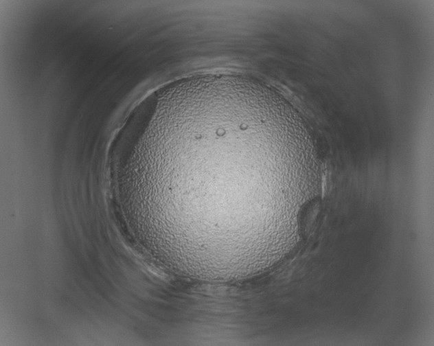 X0000082160339200702092223