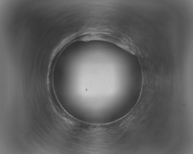 X0000082160340200702092223