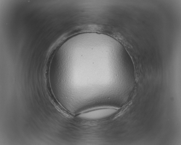 X0000082160341200702092223