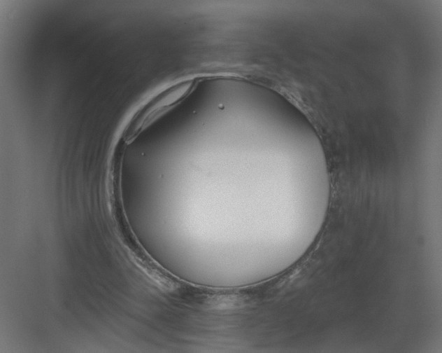 X0000082160342200702092223