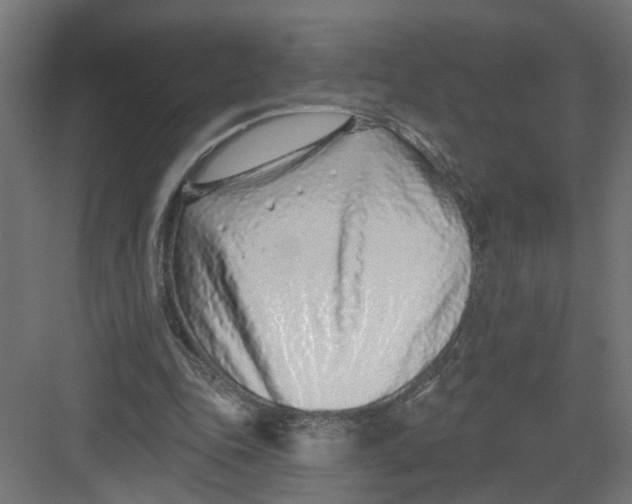 X0000082160343200702092223