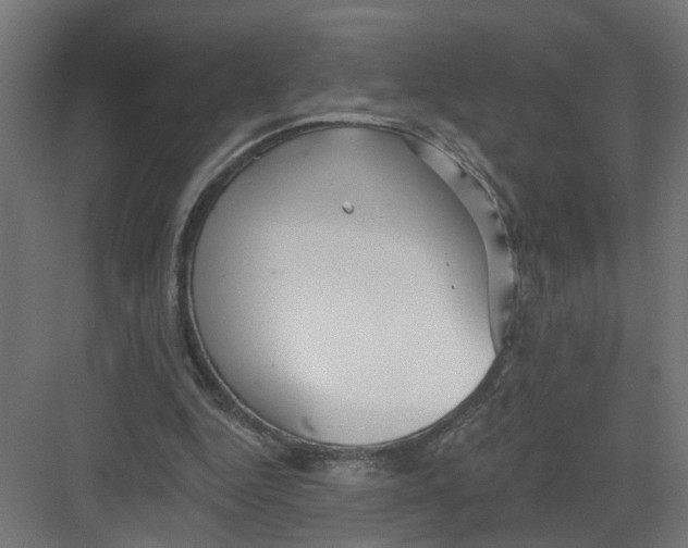 X0000082160344200702092223