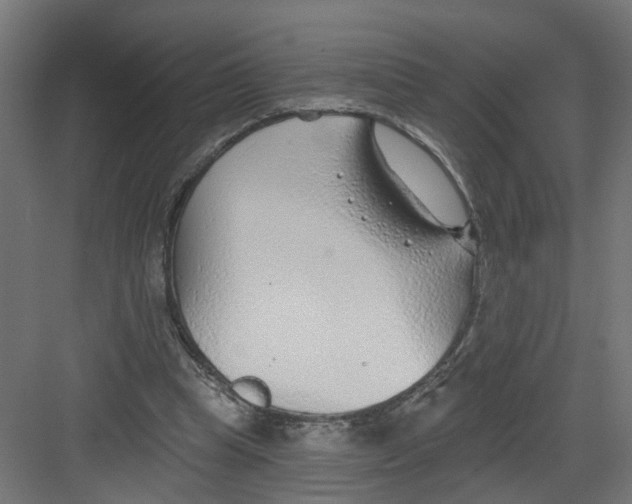 X0000082160345200702092223