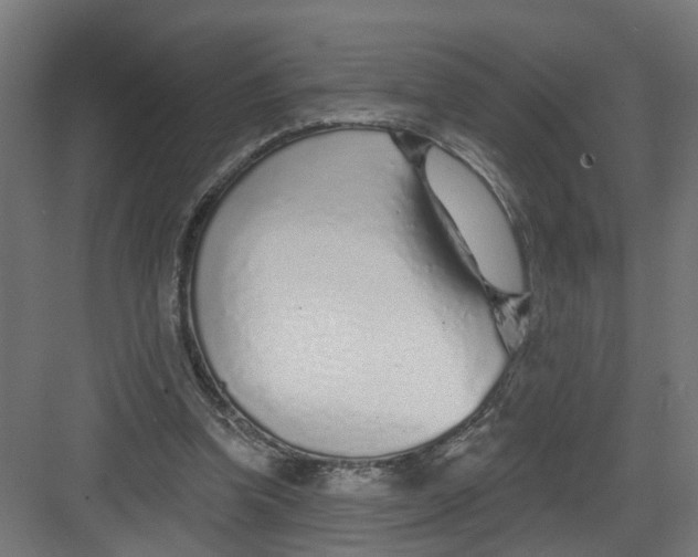 X0000082160346200702092223